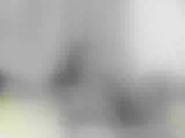 Live sex webcam photo for girasol-walto #276476561