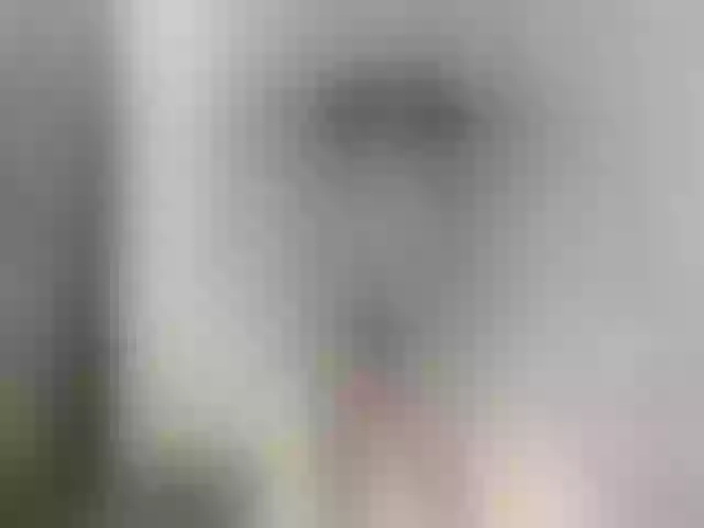 Live sex webcam photo for girasol-walto #276491571