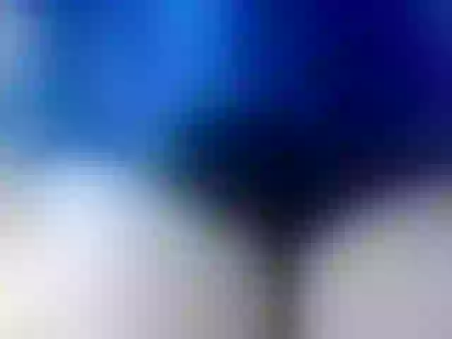Live sex webcam photo for girasol-walto #276539113
