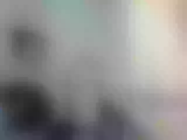 Live sex webcam photo for girasol-walto #277071999