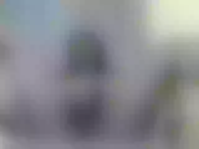 Live sex webcam photo for girasol-walto #277073478