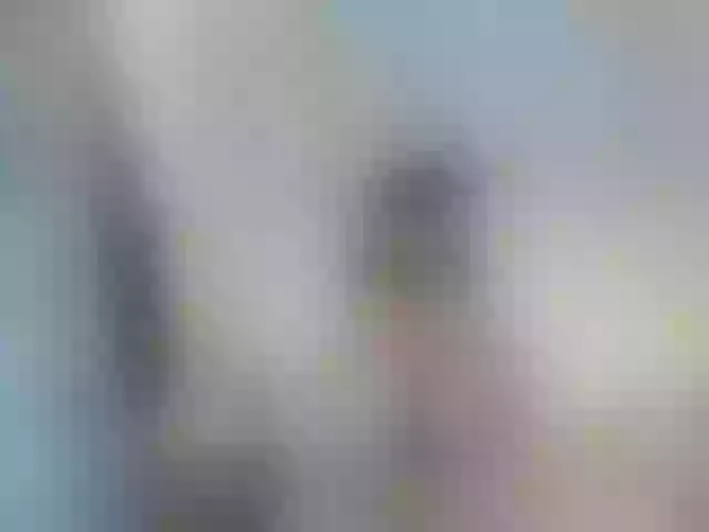 Live sex webcam photo for girasol-walto #277531678