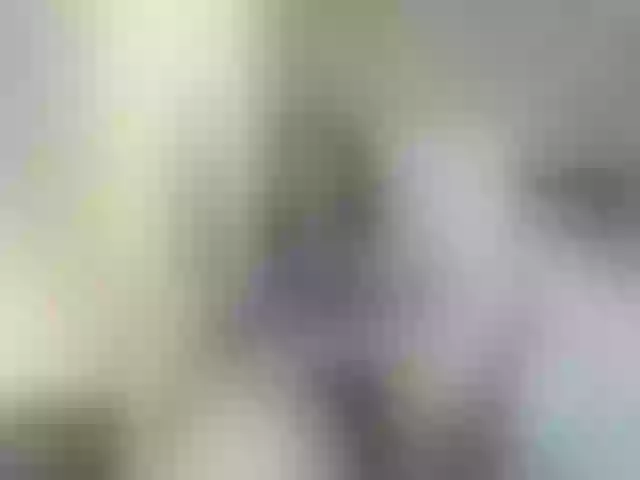 Live sex webcam photo for girasol-walto #277785784