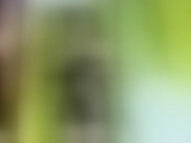 Live sex webcam photo for girasol-walto #293775913