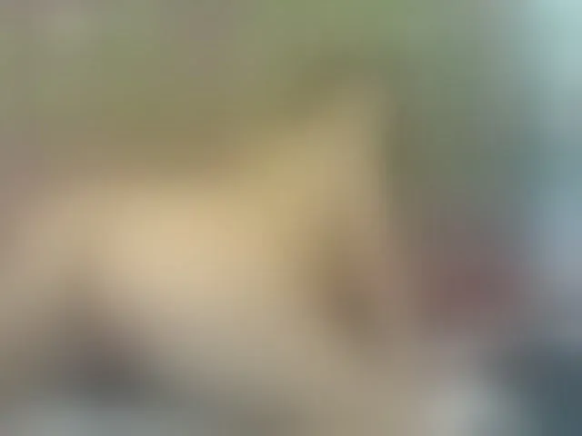 Live sex webcam photo for giselemerchann #293154218