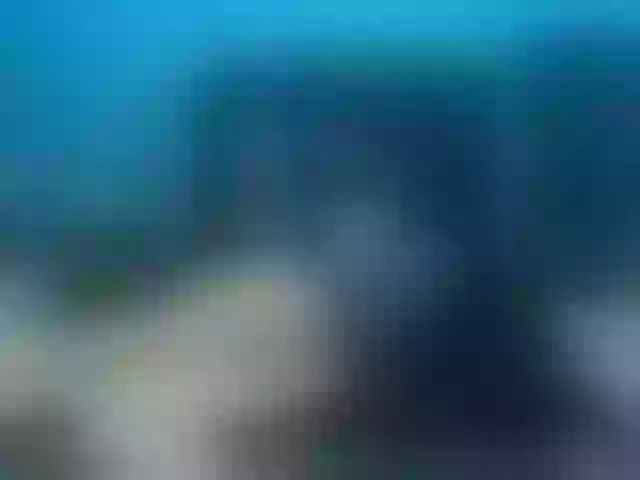 Live sex webcam photo for goddesstepha #271972795