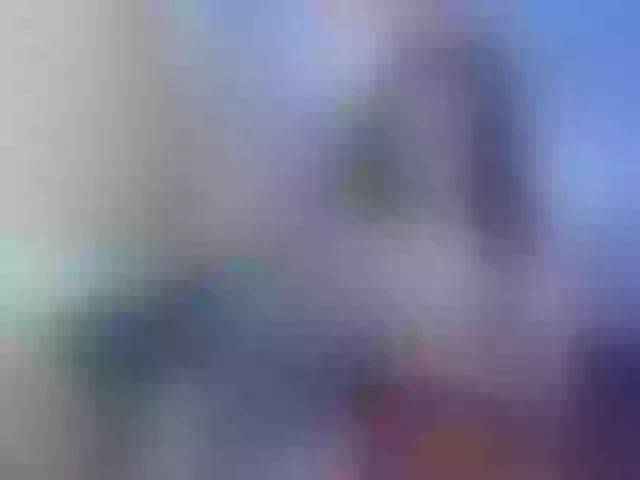 Live sex webcam photo for goldbad25 #273643016