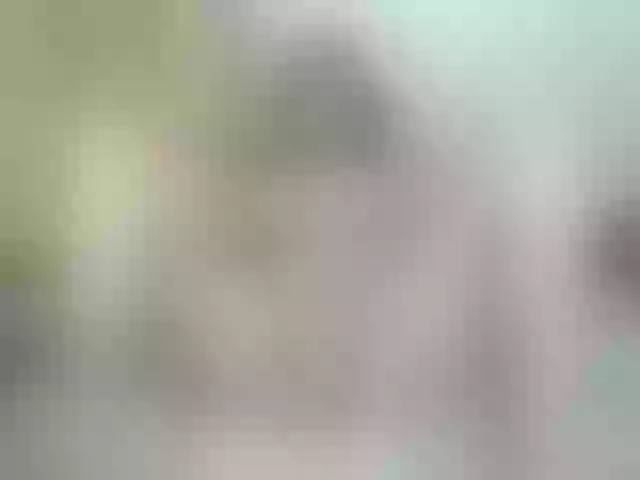 Live sex webcam photo for goldbad25 #274624521