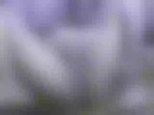 Live sex webcam photo for goodgirl #276114465