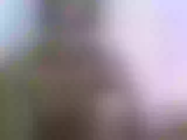 Live sex webcam photo for goodgirl #278047748