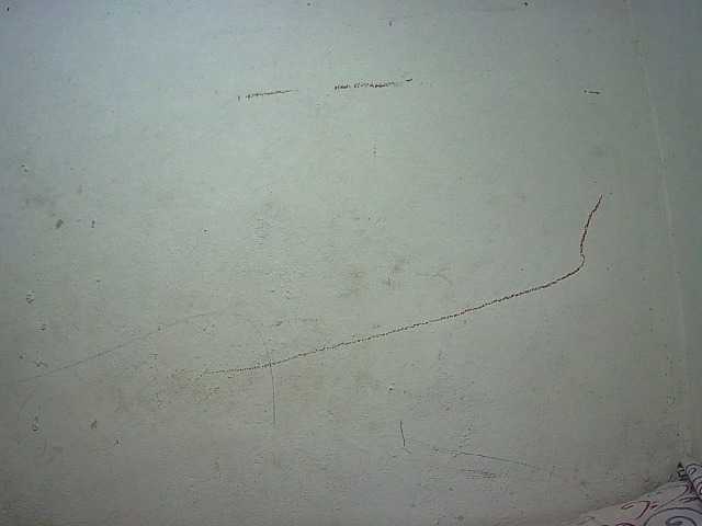 Live sex webcam photo for gordibuenasex #272280656