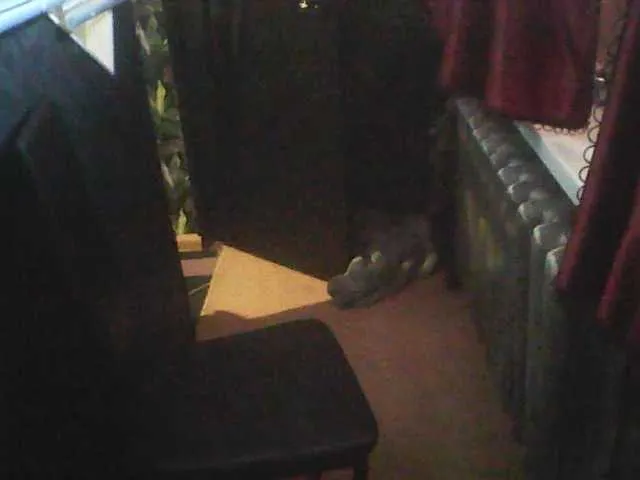 Live sex webcam photo for gospoja69 #272766243