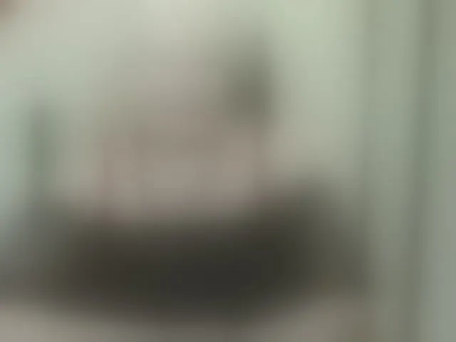 Live sex webcam photo for grannywants #293867418
