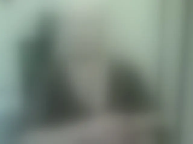Live sex webcam photo for grannywants #294161715