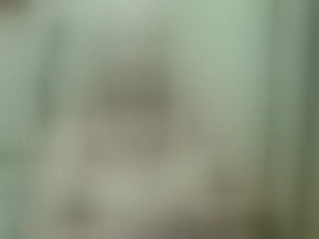 Live sex webcam photo for grannywants #294188481