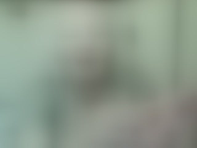 Live sex webcam photo for grannywants #294226616