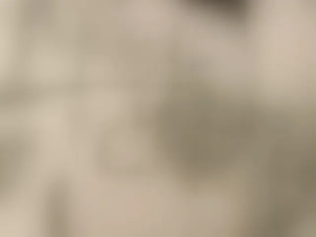 Live sex webcam photo for greicyass #292557831