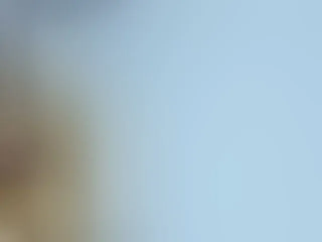 Live sex webcam photo for greicyass #292844386