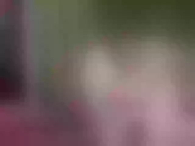 Live sex webcam photo for grettajames #291202798