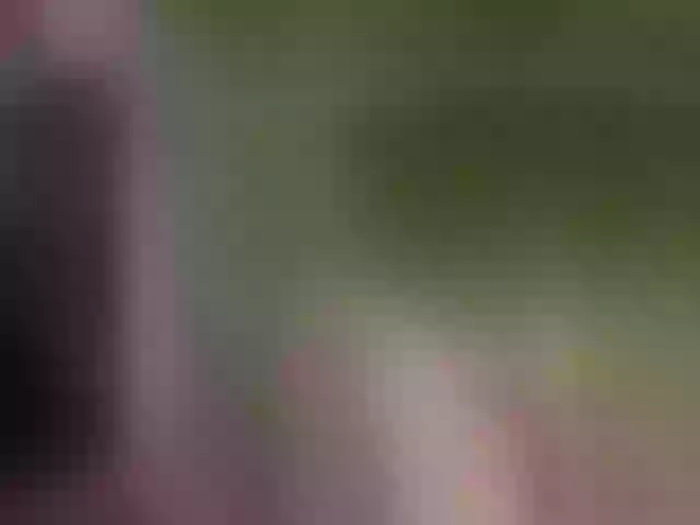 Live sex webcam photo for grettajames #291257157