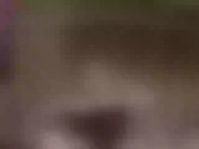 Live sex webcam photo for grettajames #291471822