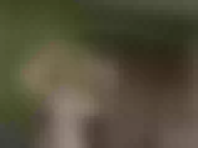 Live sex webcam photo for grettajames #291653966