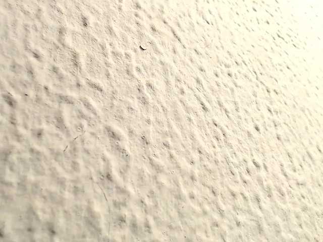 Live sex webcam photo for grianxxxhot #274609203