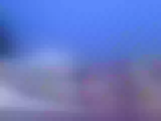 Live sex webcam photo for hOtGranny4u #290933327