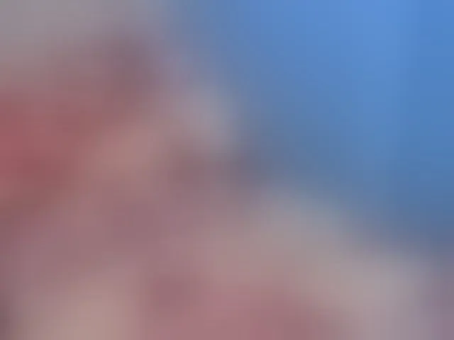 Live sex webcam photo for hOtGranny4u #293950843