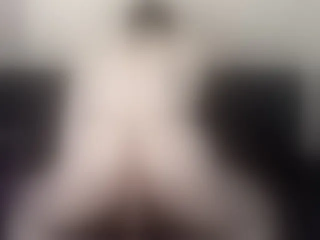 Live sex webcam photo for hairyncuteass #293298421