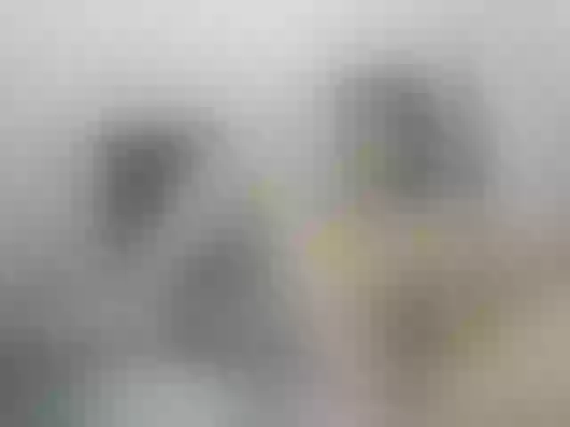 Live sex webcam photo for hannahfemboy #291473150
