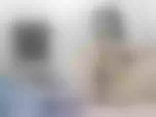 Live sex webcam photo for hannahfemboy #292018071
