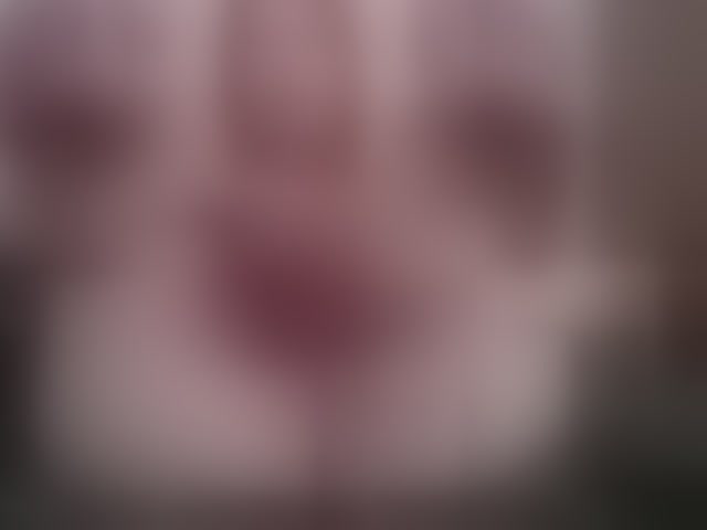 Live sex webcam photo for hannaxo #294154924