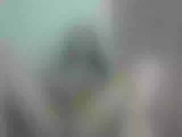 Live sex webcam photo for hannyfoxts #278210448