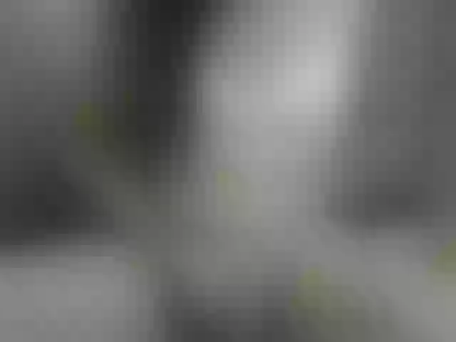 Live sex webcam photo for hannyfoxts #289636918