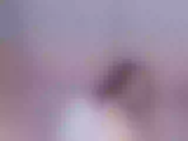 Live sex webcam photo for haylie-1 #277144781