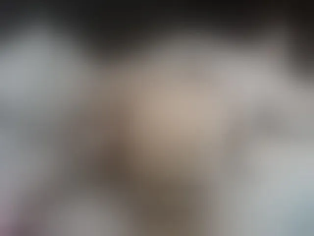Live sex webcam photo for haylie-1 #293888864