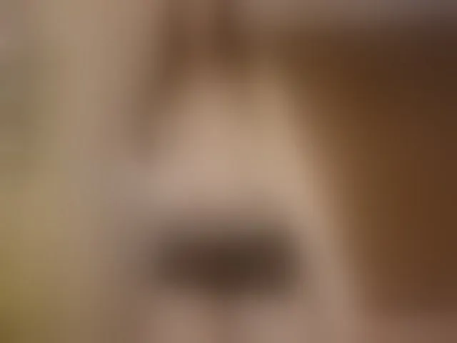 Live sex webcam photo for hayneiko #293641220