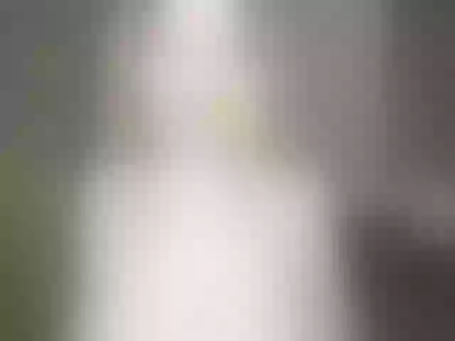 Live sex webcam photo for hazejena #288023550