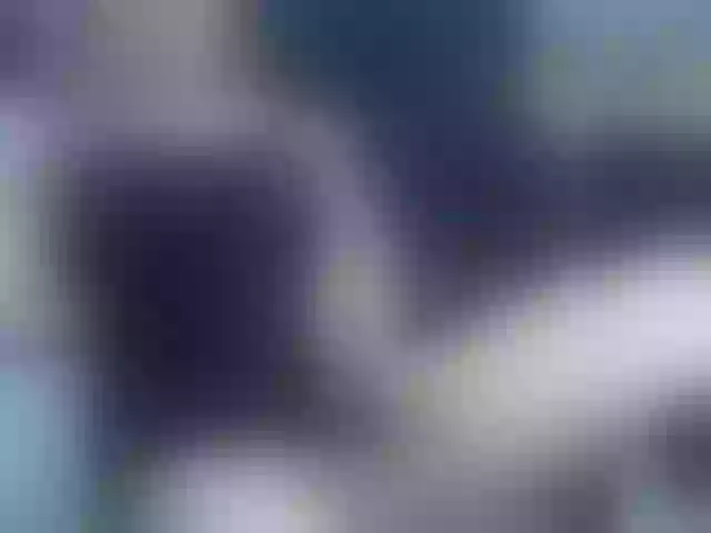 Live sex webcam photo for heidysumers #290514257