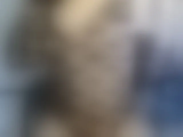 Live sex webcam photo for heidysumers #293275578