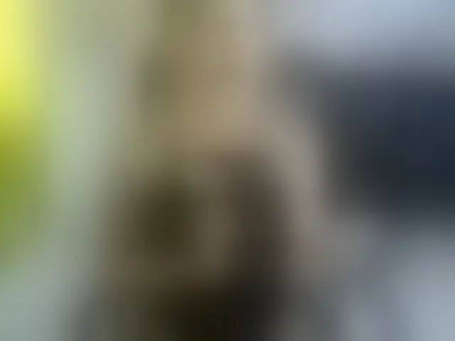Live sex webcam photo for heidysumers #293649764