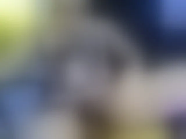 Live sex webcam photo for heidysumers #293761694