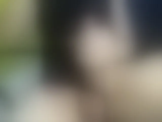 Live sex webcam photo for heidysumers #293868523