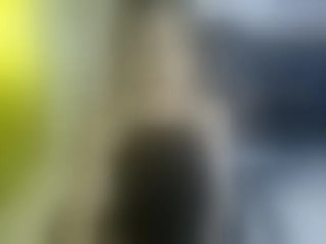 Live sex webcam photo for heidysumers #293885121