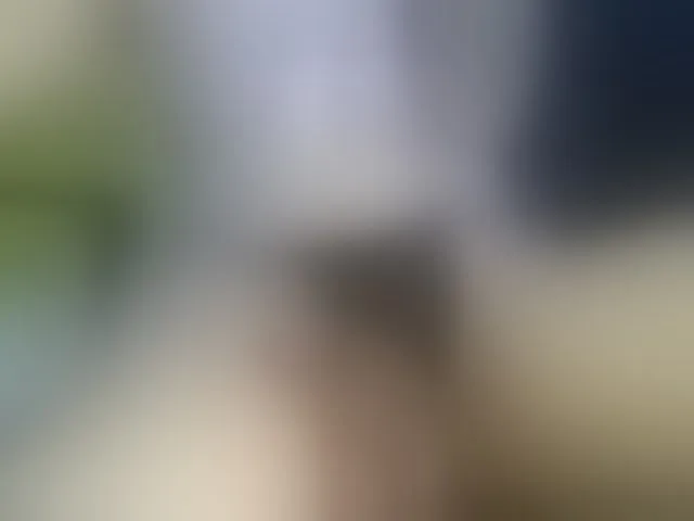 Live sex webcam photo for heidysumers #293954904