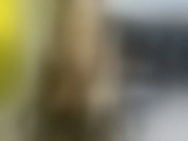 Live sex webcam photo for heidysumers #293969645