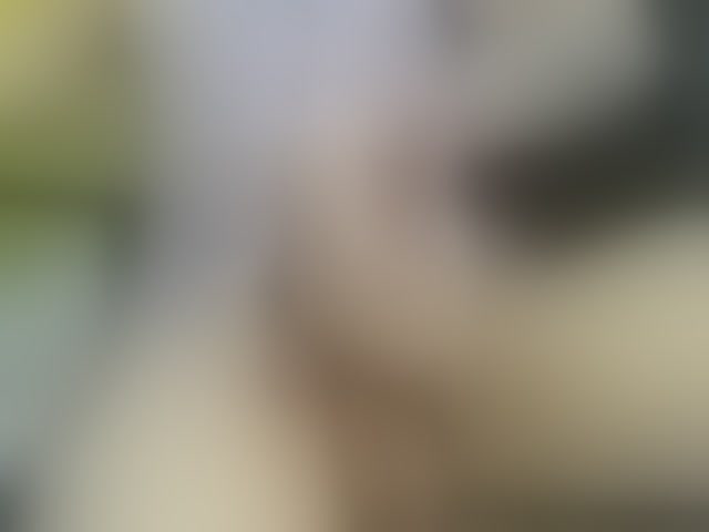 Live sex webcam photo for heidysumers #294101820
