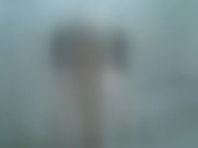 Live sex webcam photo for helen88888 #294279853