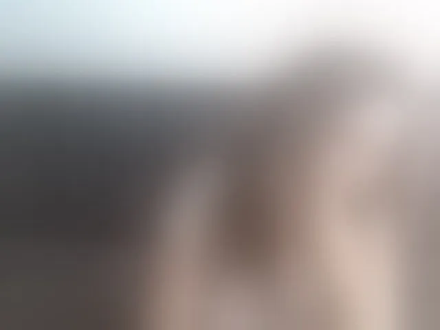 Live sex webcam photo for helenca1980 #293992101